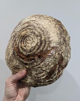 Finished sourdough baked in bread cloche
