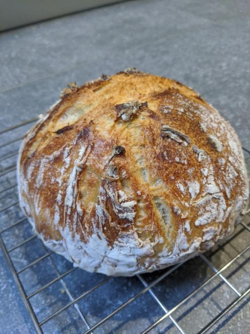 Loaf seven complete